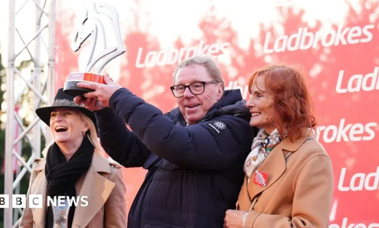 Harry's Horses shows Redknapp's competitive spirit in racing