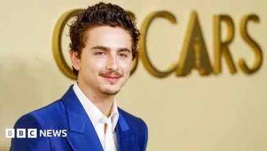 Has Hollywood golden boy Timothée Chalamet lost his shine?