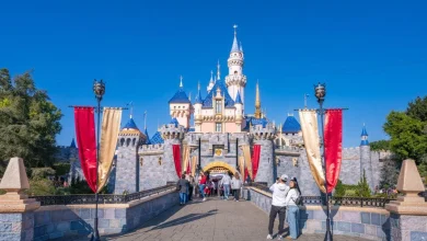 Hazmat situation reported at Disneyland; 5 employees treated