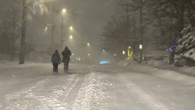 Heavy Snowfall on the Way for Eastern Newfoundland