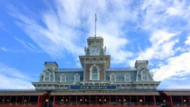 Here’s Why You May Be Booking A Disney World Trip Tomorrow