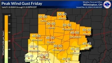 High wind warning for 60 mph gusts issued for central Ohio