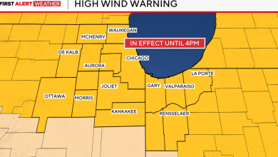 High wind warning in effect for Chicago area as gusts reach 50-60 mph