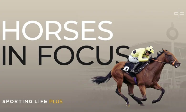 Horse In Focus tips for Saturday: Eye-catchers chosen by Timeform experts