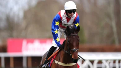 Horse dies at Cheltenham Festival after sustaining 'fatal injury' in second race | ITV News