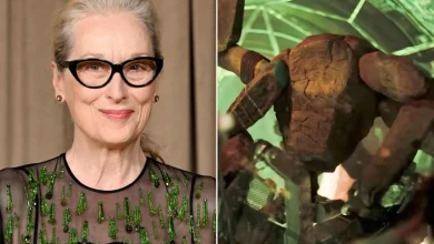 How Meryl Streep ended up making a surprising cameo in “Project Hail Mary”: ‘She can do anything