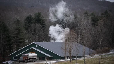 How’s the maple season? Ask when it’s over.