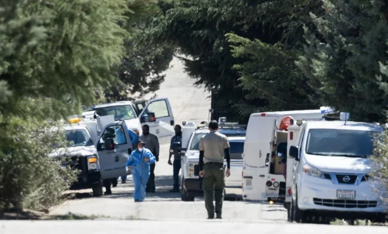 Hundreds of dogs and cats rescued in L.A. County enforcement operation