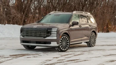 Hyundai Stops Sales and Recalls 68,500 2026 Palisade Models Because the Power Seats Can Crush You