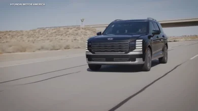 Hyundai halts sales of some Palisade SUVs, recalls about 60,000 vehicles after death of child