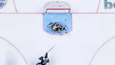 I Have So Many Nice Things To Say About The Avalanche And The Wild