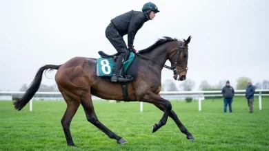 'I think he'll win, I'm 100 per cent confident' - Willie Mullins' team is back at Cheltenham and primed to conquer