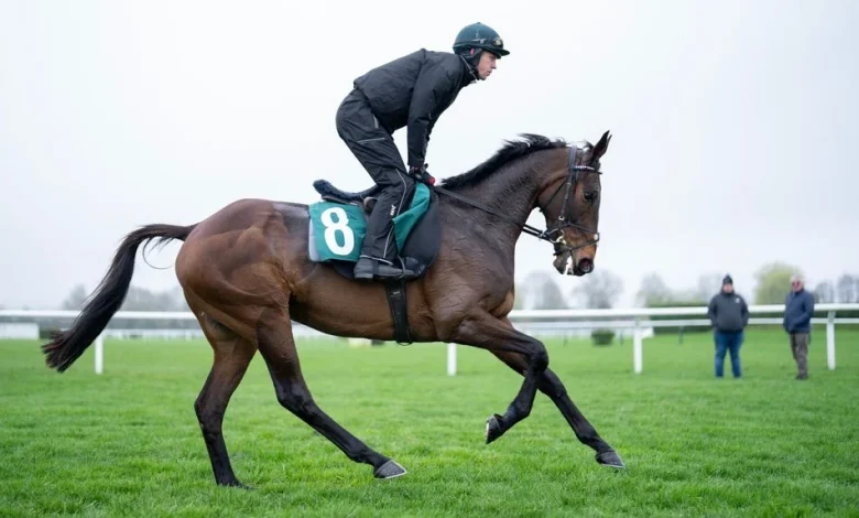 'I think he'll win, I'm 100 per cent confident' - Willie Mullins' team is back at Cheltenham and primed to conquer