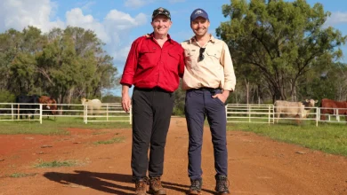 ITV's Breaking Dad returns with seventh series