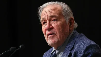 İlber Ortaylı kimdir?