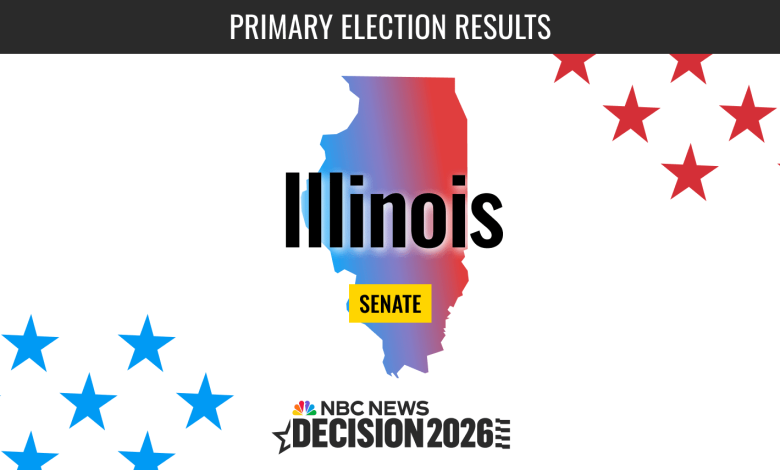 Illinois Senate Primary Election 2026 Live Results