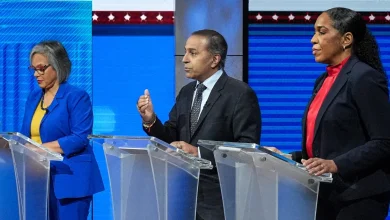 Illinois Senate primary tests Democrats' anti-ICE message