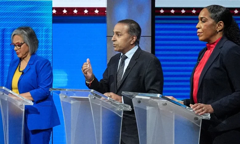 Illinois Senate primary tests Democrats' anti-ICE message