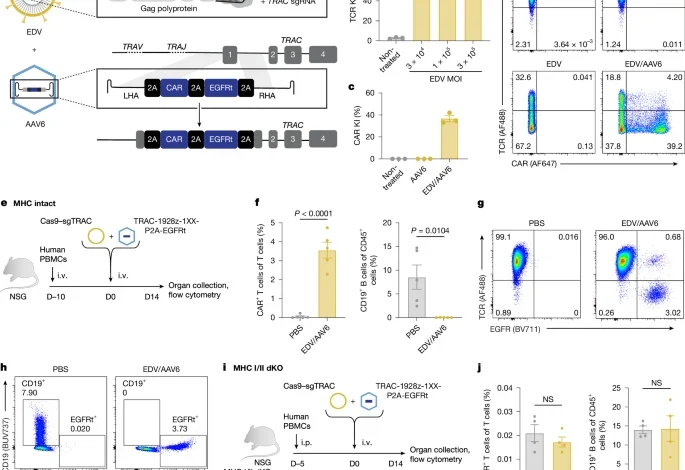 In vivo site-specific engineering to reprogram T cells