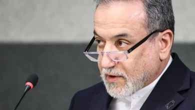 Iranian FM blames Israel, US for regional destabilization