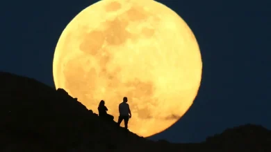 Is it a full moon tonight? Spring's first moon will be the pink moon