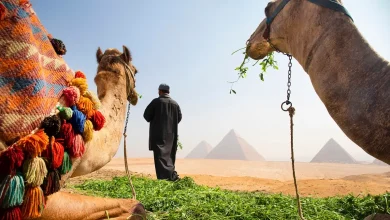Is it safe to travel to Egypt right now? Latest advice
