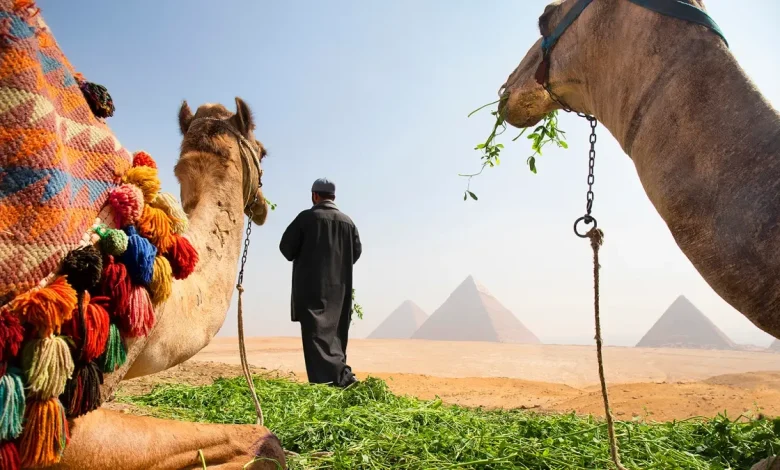 Is it safe to travel to Egypt right now? Latest advice