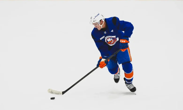 Isles Day-to-Day: Sorokin To Start, Line Changes vs Kings