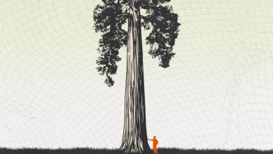 It was never about AI (we are not our tools)