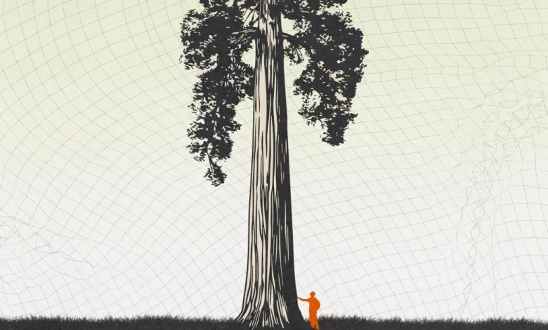 It was never about AI (we are not our tools)