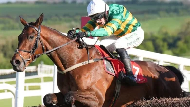JP McManus-owned Spillane's Tower out of Cheltenham Gold Cup