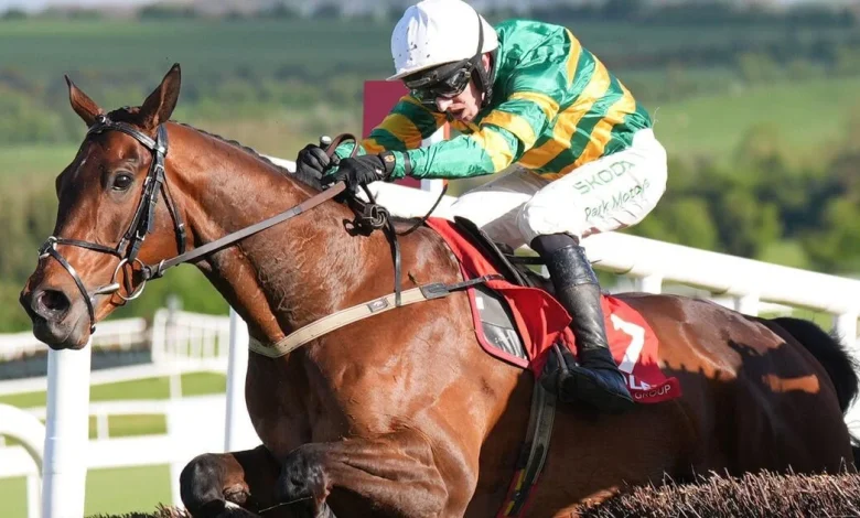 JP McManus-owned Spillane's Tower out of Cheltenham Gold Cup