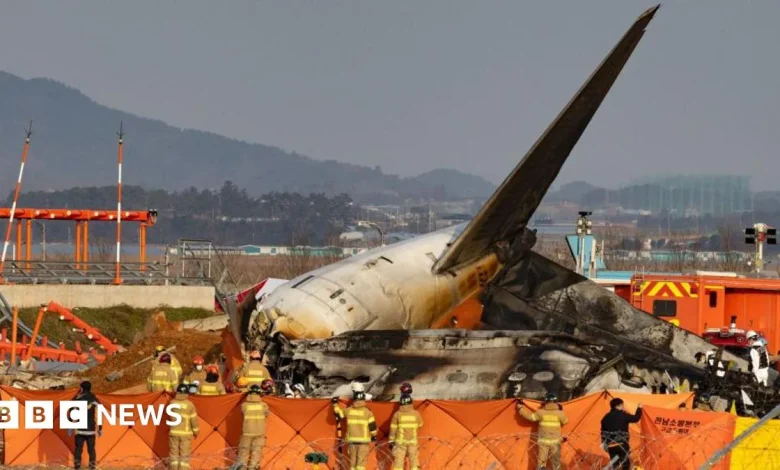 Jeju Air crash: South Korean police raid transport ministry headquarters as questions mount