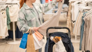 J'en reviens pas | Amener son chien dans un lieu public : «Il faut être responsable»