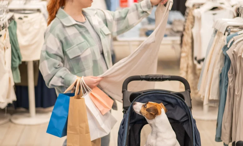 J'en reviens pas | Amener son chien dans un lieu public : «Il faut être responsable»