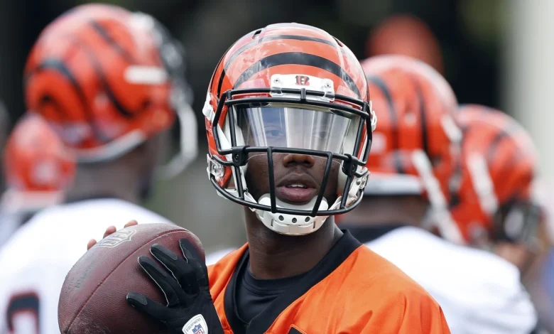 Josh Johnson returns to the Bengals for his third stint in Cincinnati