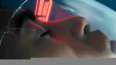 Judge delivers bombshell order for Krafton to reinstate fired Subnautica 2 devs and CEO, putting $250m bonus package back on the table