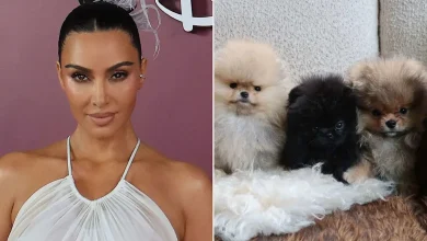 Kim Kardashian Shares Photos of 4 Puppies She Got as Christmas Gifts for Her Kids, Weeks After PETA Slammed Her