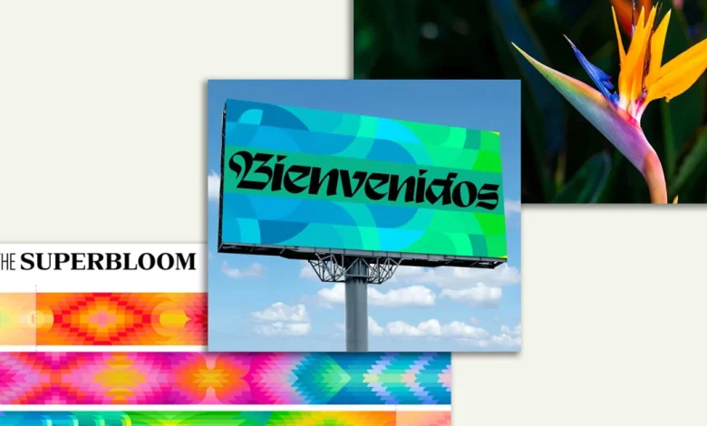 LA28 unveils floral-inspired visual identity for 2028 Olympics