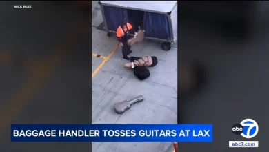 LAX baggage handler caught on video carelessly tossing guitars on tarmac