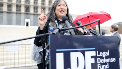 Lawyer brings her own immigration story to birthright citizenship fight - The Washington Post