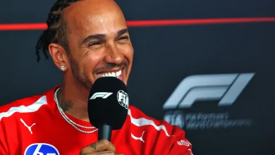 Lewis Hamilton makes a-moo-sing 'Max' revelation over adopted cow