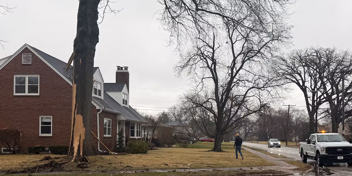 Lighting strikes tree, blows out windows, Davenport homeowner says