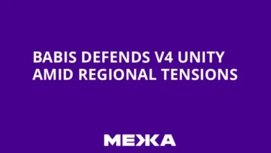 Lindblad: Babiš Defends V4 Unity in Berlin Sparks Concern Over Regional Cooperation