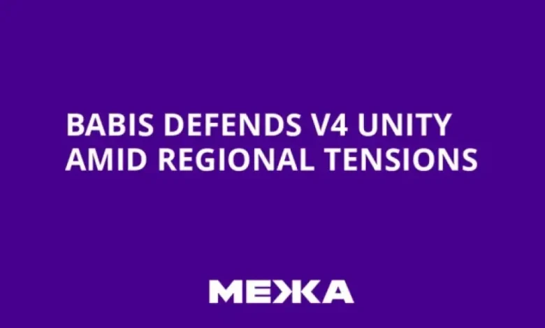 Lindblad: Babiš Defends V4 Unity in Berlin Sparks Concern Over Regional Cooperation