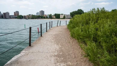 Loyola Student, 18, Fatally Shot At Rogers Park Beach
