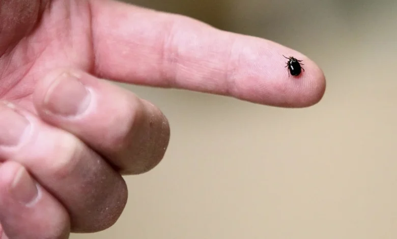 Lyme Vaccine Shows Promise, but 'Tricky' Path Lies Ahead