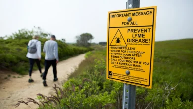 Lyme disease vaccine reduces risk by more than 70% in study