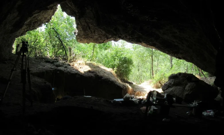 'Major disruption in Neanderthal history': 65,000 years ago, all Neanderthals in Europe died out except for one lineage