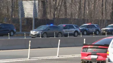 Man stabbed, killed his own dog in deadly road rage attack on I-495 in Virginia